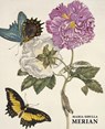 Kiecol, D: Maria Sibylla Merian - Daniel Kiecol - 9783741916045
