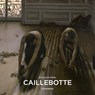 Morel, G: Gustave Caillebotte - MOREL,  Guillaume - 9783741930201
