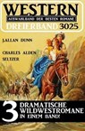 Western Dreierband 3025 - 3 dramatische Wildwestromane in einem Band - J. Allan Dunn ; Charles Alden Seltzer - 9783745235081