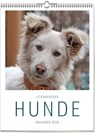 Literarischer Hunde - Kalender 2026 -  - 9783747206898