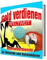 Geld verdienen weltweit - Rüdiger Küttner-Kühn - 9783748588788