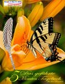Das gefuhrte 5 Minuten Tagebuch fur den Sommer - Renate Sultz ; Uwe H Sultz - 9783750440289