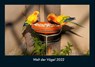 Welt der Vögel 2022 Fotokalender DIN A4 -  - 9783755906575