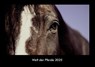 Welt der Pferde 2025 Fotokalender DIN A3 -  - 9783755969990