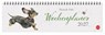 Hannah Dale : Wochenquerplaner 2027 -  - 9783756416561