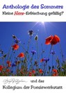 Anthologie des Sommers - Kleine (Herz-)Erfrischung gefällig? - Birgit Kretzschmar ; Autorenkollegium (Sommer-Anthologie) Poesiewerkstatt - 9783757560003