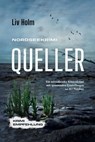Nordseekrimi Queller: Ein mitreißender Küstenkrimi mit spannenden Ermittlungen an der Nordsee - Krimi Empfehlung - Liv Holm - 9783757621735