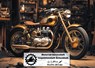 Motorrad Serviceheft Inspektionsheft Scheckheft - Uwe H. Sültz - 9783758316845