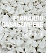 Fernando Casasempere - Alun Graves ; Clare Lilley ; Edmund de Waal - 9783775742429