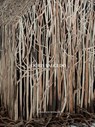 Doris Salcedo - Seloua Luste Boulbina ; Mary Schneider Enriquez ; Ocean Vuong - 9783775754934