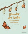 Wunder der Natur zum Innehalten und Staunen - Rachel Williams ; Freya Hartas - 9783791374475