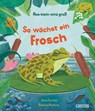 Aus klein wird groß. So wächst ein Frosch - Sara Forster ; Bianca Austria - 9783791376745