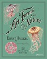 Ernst Haeckel: Art Forms in Nature: 22 Pull-Out Posters - Ernst Haeckel - 9783791382630