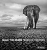 Walk the Earth - Federico Veronesi - 9783791393919