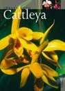 Cattleya - Jürgen Röth - 9783800131532