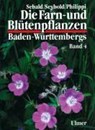 Die Farn- und Blütenpflanzen Baden-Württembergs 04 - Oskar Sebald ; Georg Philippi ; Siegmund Seybold - 9783800133154