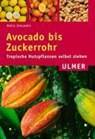 Avocado bis Zuckerrohr - Heinz Jenuwein - 9783800146376