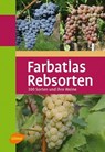 Farbatlas Rebsorten - Hans Ambrosi ; Bernd H. E. Hill ; Erika Maul ; Ernst H. Rühl - 9783800159574