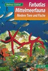 Farbatlas Mittelmeerfauna - Helmut Göthel - 9783800173686