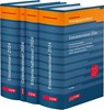 Steuer-Paket 2024: Ertragsteuern und Umsatzsteuer (Veranlagung) - Idw ; Werner Widmann ; Stephan Filtzinger - 9783802129780