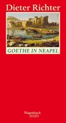 Goethe in Neapel - Dieter Richter - 9783803112859