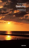 Gedichte - Theodor Storm - 9783804212053