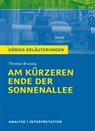 Am kürzeren Ende der Sonnenallee. Textanalyse und Interpretation zu Thomas Brussig - Thomas Brussig - 9783804419292