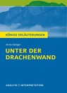 Unter der Drachenwand - Arno Geiger - 9783804420557