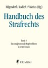 Handbuch des Strafrechts 08 - Eric Hilgendorf ; Hans Kudlich ; Brian Valerius - 9783811488083