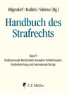 Handbuch des Strafrechts Band 09 - Eric Hilgendorf ; Hans Kudlich ; Brian Valerius - 9783811488090