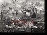 Sebastiao Salgado. Africa - Mia Couto - 9783822856215