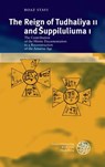 Stavi, B: Reign of Tudhaliya II and suppiluliuma I - STAVI,  Boaz - 9783825364427