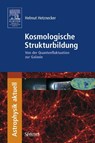 Kosmologische Strukturbildung - Helmut Hetznecker - 9783827419354