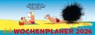 Uli Stein Wochenplaner 2026: Tischkalender -  - 9783830322580
