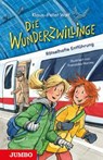 Die Wunderzwillinge 04. Rätselhafte Entführung - Klaus-Peter Wolf - 9783833745768