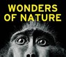 Wonders of Nature -  - 9783837516098
