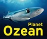 Planet Ozean - Jeanette Schmitz - 9783837526189