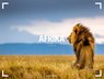 Afrika Gallery Kalender 2026 -  - 9783838436135