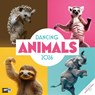 Dancing Animals Broschürenkalender 2026 - 30x30 - Art12 -  - 9783838446189