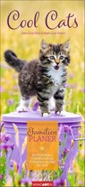 Cool Cats Familienplaner 2026 -  - 9783839902127