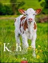 Kuh Kalender 2026 -  - 9783839902318