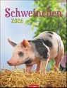 Schweinchen Kalender 2026 -  - 9783839903056