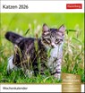 Katzen Postkartenkalender 2026 - Wochenkalender mit 53 Postkarten -  - 9783840035722