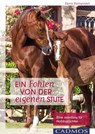 Ein Fohlen von der eigenen Stute - Karin Kattwinkel - 9783840463952
