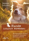 Hunde intuitiv verstehen - Susanne Schreiter - 9783843414500