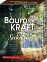 SET - Baumkraft auf dem Seelenweg - Claudia Köller - 9783843491273