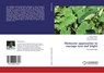 Molecular approaches to manage taro leaf blight - Kamal Sharma ; Raj Shekhar Misra ; Ajay Kumar (University of Johannesburg Mishra - 9783846507308