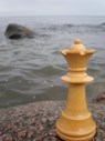 Die Gambitspielerin - Christiane Baumann - 9783847647348