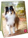 Hunde sind die besten Freunde - Groh Verlag - 9783848502349