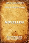 Novellen - Jakob Julius David - 9783849609139